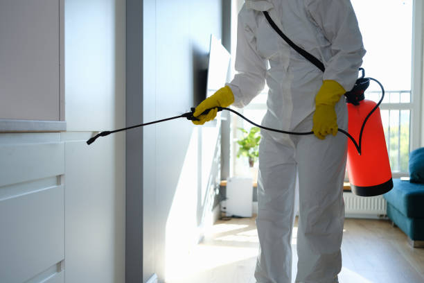 Professional Mold Removal in Memphis, TX