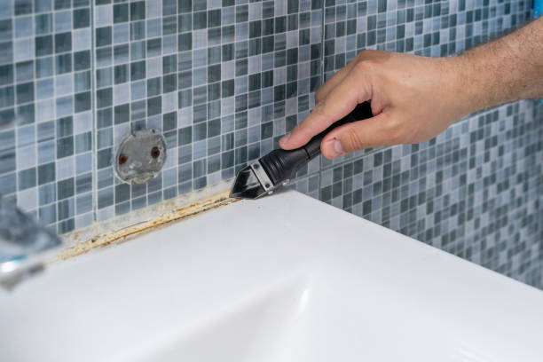 Best Mold Remediation Experts  in Memphis, TX