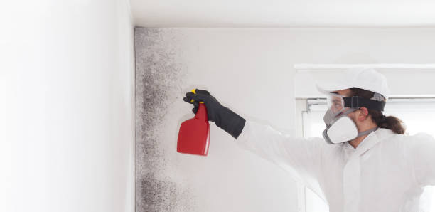 Best Mold Cleaning Services  in Memphis, TX
